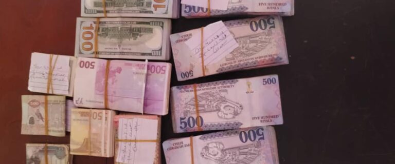 مباحث نهر النيل الإيقاع بشبكة