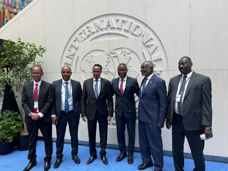 وزير المالية يترأس وفد السودان المشارك في إجتماعات الربيع بواشنطن