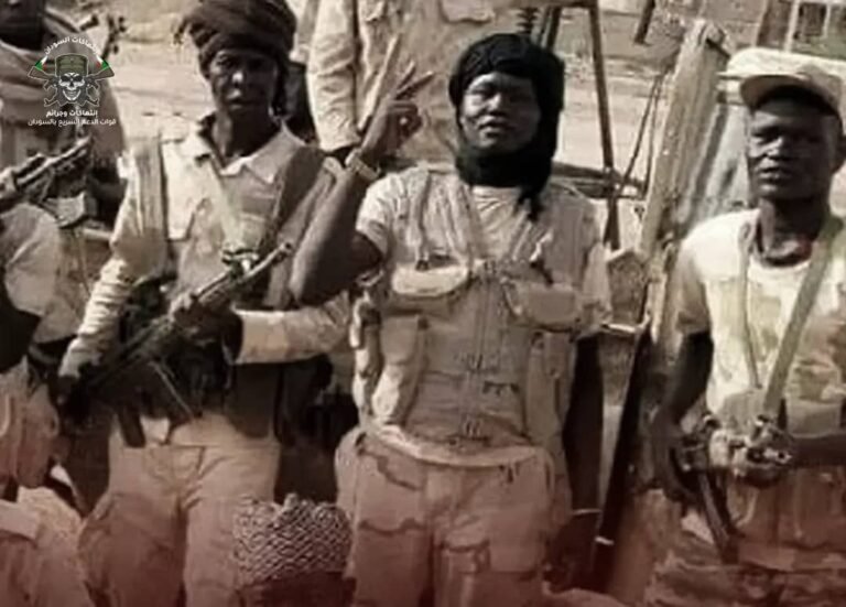 نشاط لافت لعناصر مليشيا الدعم السريع في دولة جنوب السودان ..