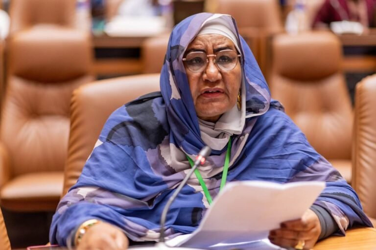 نائب رئيس المفوضية القومية لحقوق الإنسان تخاطب اللجنة الأفريقية لحقوق الإنسان والشعوب في دورتها رقم (85)