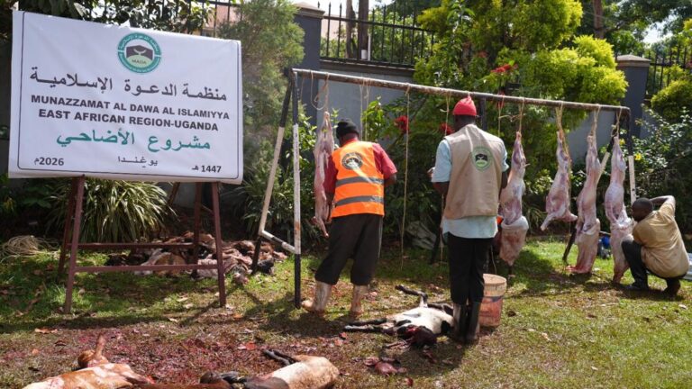 منظمة الدعوة الاسلامية تبدأ تنفيذ مشروع الأضاحي لعام 2026*