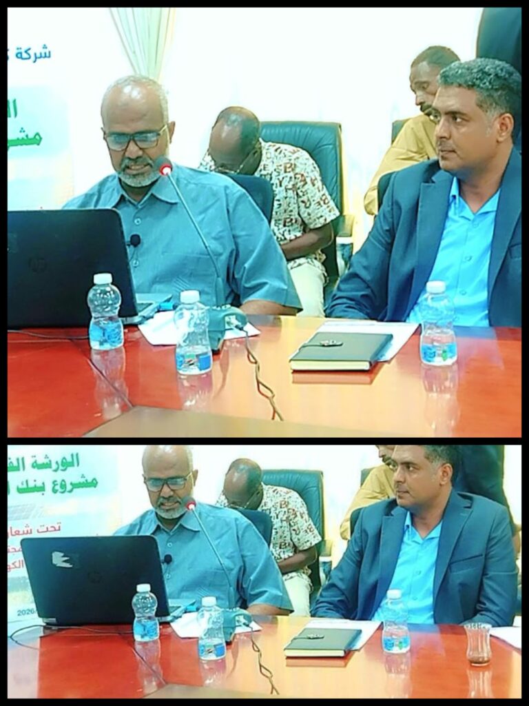 مشروع بنك الطاقة :  يقلل من الانقطاعات واستيراد الوقود ويحقق استقرار كهربائي تدريجيي